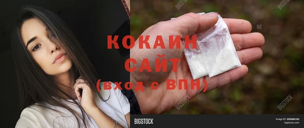 гидропоника Няндома