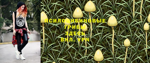 амф Нягань