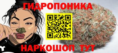 кокс Берёзовский