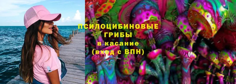 Псилоцибиновые грибы Magic Shrooms  Волжск 