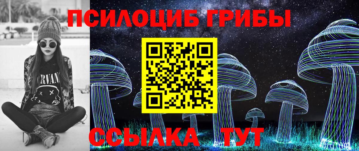 Псилоцибиновые грибы GOLDEN TEACHER  Вход с VPN  Волжск 