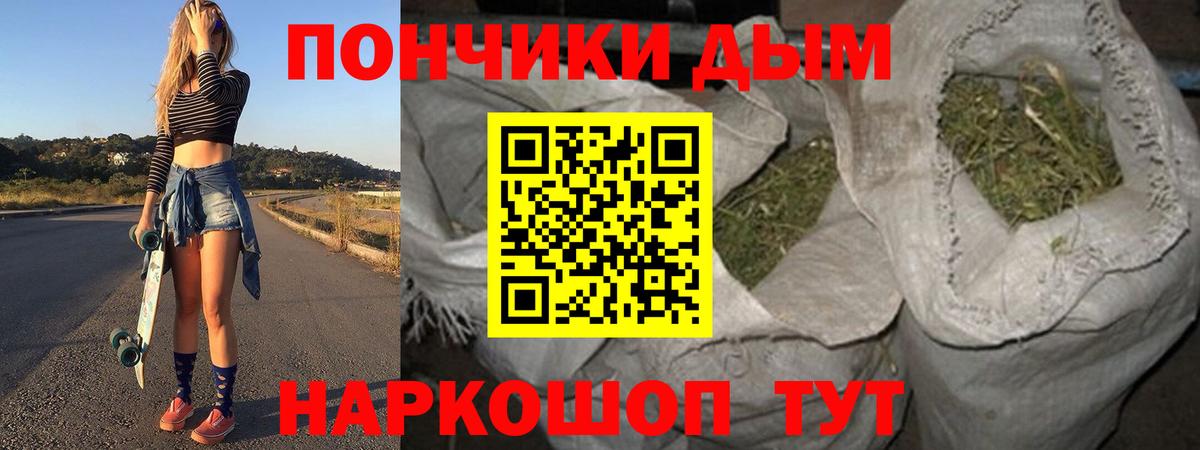 Конопля гибрид  Волжск  Марихуана SATIVA & INDICA  Канабис семена 